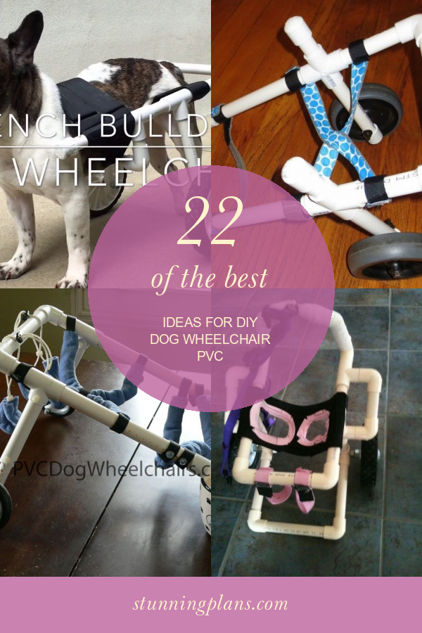 22 Of the Best Ideas for Diy Dog Wheelchair Pvc Home, Family, Style